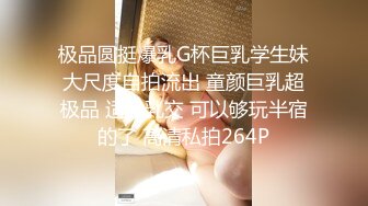 小母狗的发情5