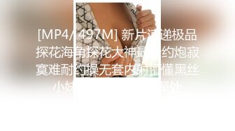 91制片厂 ZCM012 榨精女仆的情色清洁 李娜娜