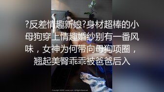 麻豆傳媒 MDHG-0024 這個面試有點硬 外表高冷內心女孩 夢潔