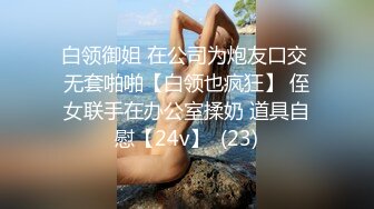 白领御姐 在公司为炮友口交 无套啪啪【白领也疯狂】 侄女联手在办公室揉奶 道具自慰【24v】  (23)