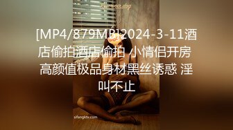 [MP4/ 866M] 不知天地为何物，极品美少妇，车内与男友边走边调情，后排车震，黑丝美腿满分大胸