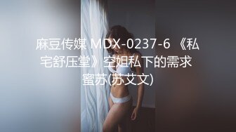 麻豆传媒 MDX-0237-6 《私宅舒压堂》空姐私下的需求 蜜苏(苏艾文)