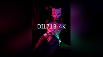 DI171B-4K