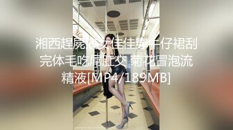 听话的陌友