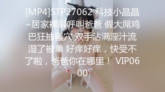 [MP4]STP29908 禁忌乱伦之爱失恋侄子心情不好想要巨乳小姨的安慰 VIP0600