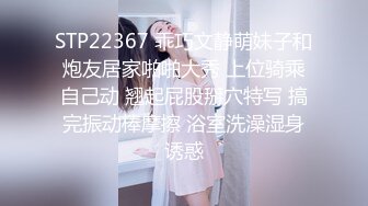 MFK-0026年轻的家政妇