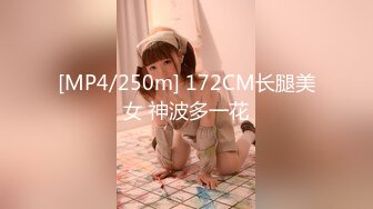 [MP4/250m] 172CM长腿美女 神波多一花