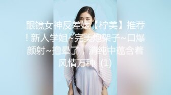 91原创手势验证，骚女友给力口交