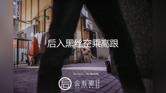 后入黑丝空乘高跟