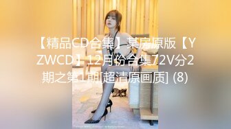 【精品CD合集】某房原版【YZWCD】12月份合集72V分2期之第1期[超清原画质] (8)