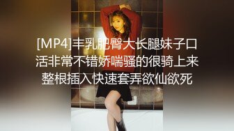 TS美模雅琪秘书装