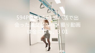 HEYZO 2185 即ハメできちゃうオレ専用メイドVol.3 - 杉山千佳