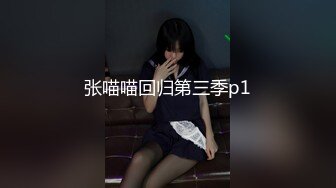 [MP4/ 867M] 小哥约来俩高颜值高级外围模特儿，两个一起玩 感觉就是不一样，黑丝后干一个摸一个，轮流着干 体力耗尽