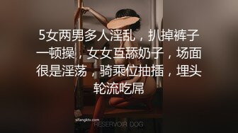 反差妓女～雪儿之后入+正入+露脸摸胸