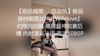 [MP4]麻豆传媒 SH-008 美女特勤为了救哥哥 搜集证据 落入匪窝被玩弄