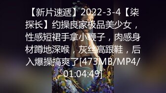 【新片速遞】2022-3-4【柒探长】约操良家极品美少女，性感短裙手拿小鞭子，肉感身材蹲地深喉，灰丝高跟鞋，后入爆操搞爽了[473MB/MP4/01:04:49]