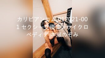 カリビアンコム 012021-001 セクシー女優エンサイクロペディア 中瀬のぞみ