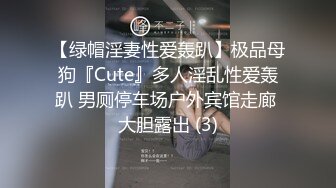 《极品CP重磅泄密》厕拍达人景区女公厕偸拍后续10 各种高质量气质小姐姐方便~姿态百出赏逼赏脸有美女有极品逼 (17)