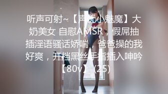 CastingCurvys欧美熟女-按F键进入！大战坦克系列合集【39V】 (23)