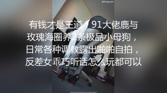 有钱才是王道！91大佬鹿与玫瑰海圈养2条极品小母狗，日常各种调教露出啪啪自拍，反差女乖巧听话怎么玩都可以