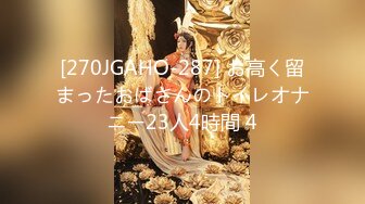 [270JGAHO-287] お高く留まったおばさんのトイレオナニー23人4時間 4