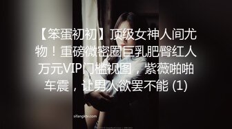 【笨蛋初初】顶级女神人间尤物！重磅微密圈巨乳肥臀红人万元VIP门槛视图，紫薇啪啪车震，让男人欲罢不能 (1)