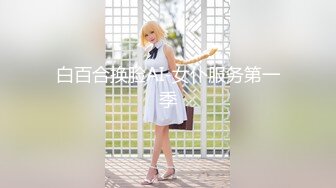 白百合换脸AI-女仆服务第一季