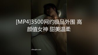 [MP4]3500网约极品外围 高颜值女神 甜美温柔