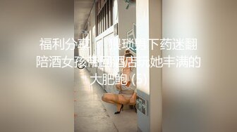 国产AV 葫芦影业 HUL032 美丽善良的家政妇