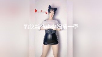 豹纹丝袜小少妇第一季