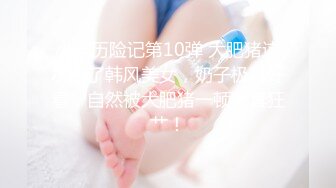 小胖历险记第10弹 大肥猪这次约了韩风美女，奶子极其好看，自然被大肥猪一顿无套狂艹！