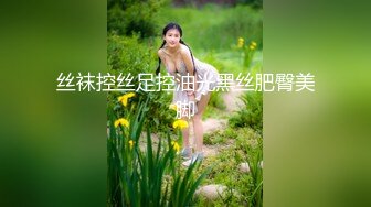 丝袜控丝足控油光黑丝肥臀美脚