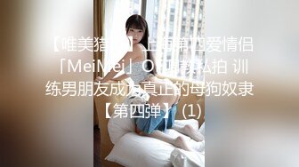 【唯美猎奇】上海第四爱情侣「MeiMei」OF调教私拍 训练男朋友成为真正的母狗奴隶【第四弹】 (1)