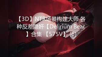 【3D】NTR场景构建大师 各种反差隐奸【Delirium Bear】合集 【575V】 (6)