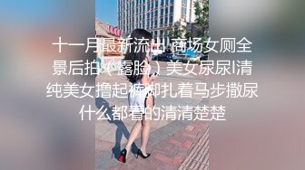 十一月最新流出 商场女厕全景后拍（露脸）美女尿尿l清纯美女撸起裤脚扎着马步撒尿什么都看的清清楚楚