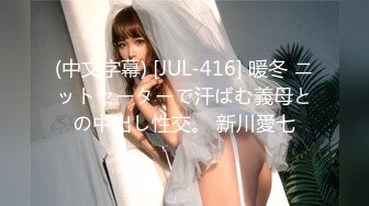 【精东影业】 JD-142 超级电脑工具人-李允熙