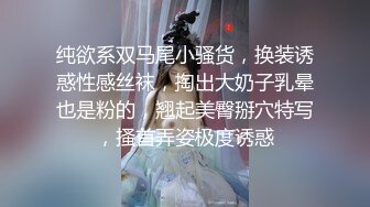 纯欲系双马尾小骚货，换装诱惑性感丝袜，掏出大奶子乳晕也是粉的，翘起美臀掰穴特写，搔首弄姿极度诱惑