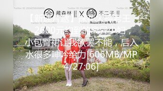 【新速片遞】探花大神老王❤️2600元约到的离异少妇，小包臀裙让我欲罢不能，后入水很多呻吟给力[606MB/MP4/27:06]