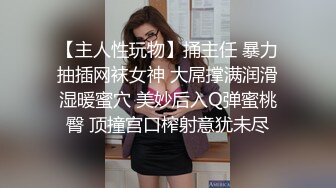 【主人性玩物】捅主任 暴力抽插网袜女神 大屌撑满润滑湿暖蜜穴 美妙后入Q弹蜜桃臀 顶撞宫口榨射意犹未尽