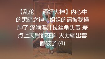 密友.第二十集.精东影业