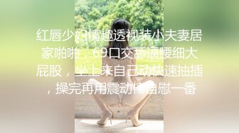 红唇少妇情趣透视装小夫妻居家啪啪，69口交舔逼腰细大屁股，坐上来自己动快速抽插，操完再用震动棒自慰一番