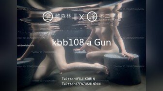 kbb108 a Gun