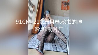 91CM-210.唐月琴.秘书的呻吟.91制片厂