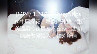 [MP4/ 1.23G]&nbsp;&nbsp;牛屌探花，暑假赚外快，甜美温柔今夜男友不在家，害羞腼腆做爱投入，物超所值