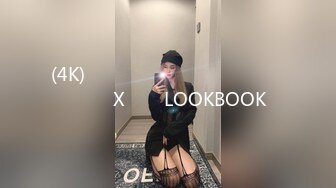 (4K)속옷룩북시스루슬림핏원피스룩북  코카인X제로투LOOKBOOK