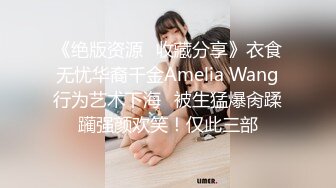 《绝版资源✅收藏分享》衣食无忧华裔千金Amelia Wang行为艺术下海✅被生猛爆肏蹂躏强颜欢笑！仅此三部