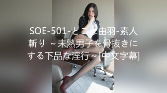 SOE-501-とこな由羽-素人斬り ～未熟男子を骨抜きにする下品な淫行～[中文字幕]