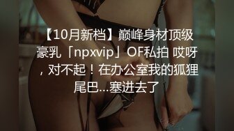 【10月新档】巅峰身材顶级豪乳「npxvip」OF私拍 哎呀，对不起！在办公室我的狐狸尾巴…塞进去了