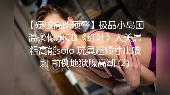 【硬核高能预警】极品小岛国温柔似水CD《红叶》人美屌粗高能solo 玩具超频寸止喷射 前例地狱腺高潮 (2)