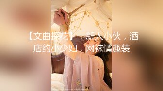 【文曲探花】，新人小伙，酒店约小少妇，网袜情趣装